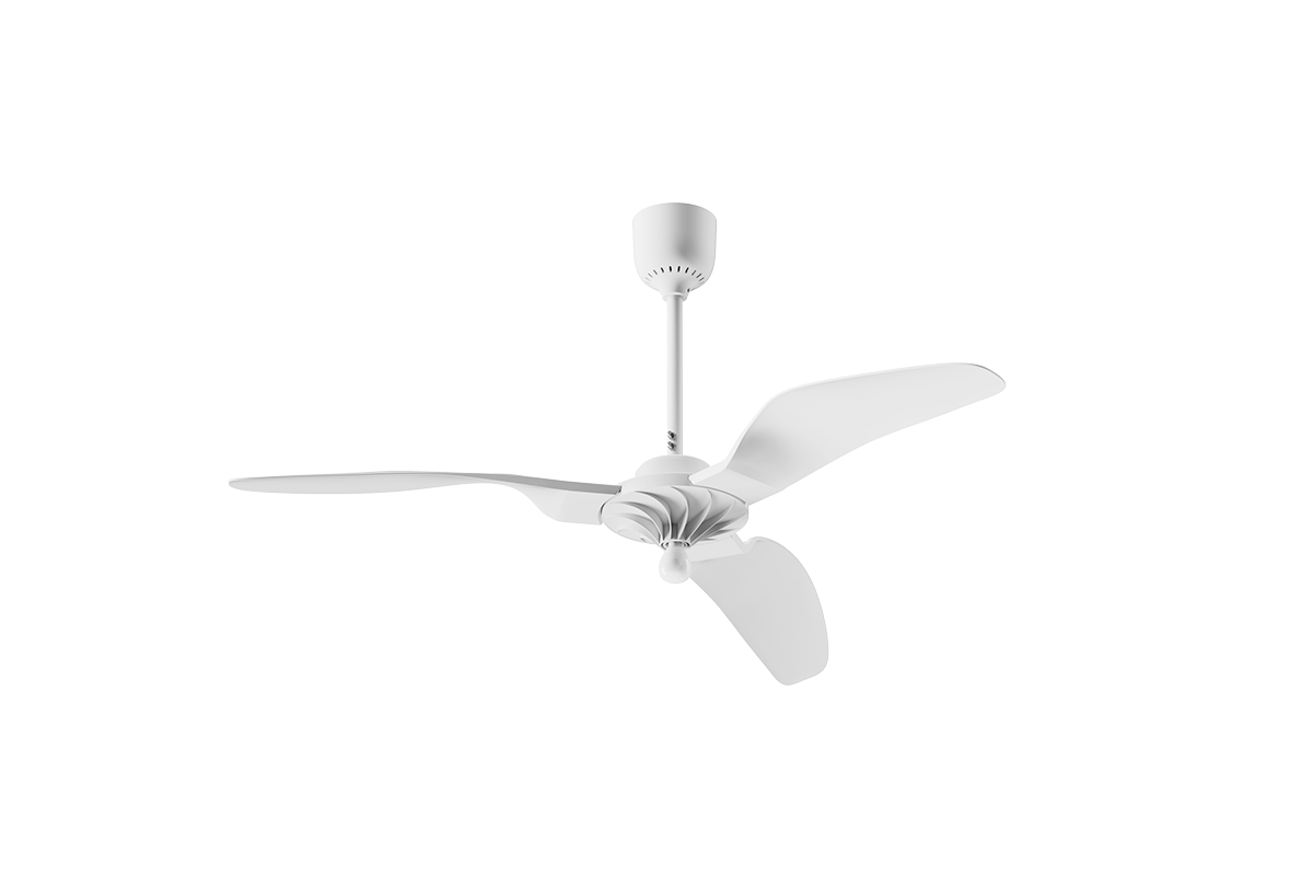 Ceiling Fan